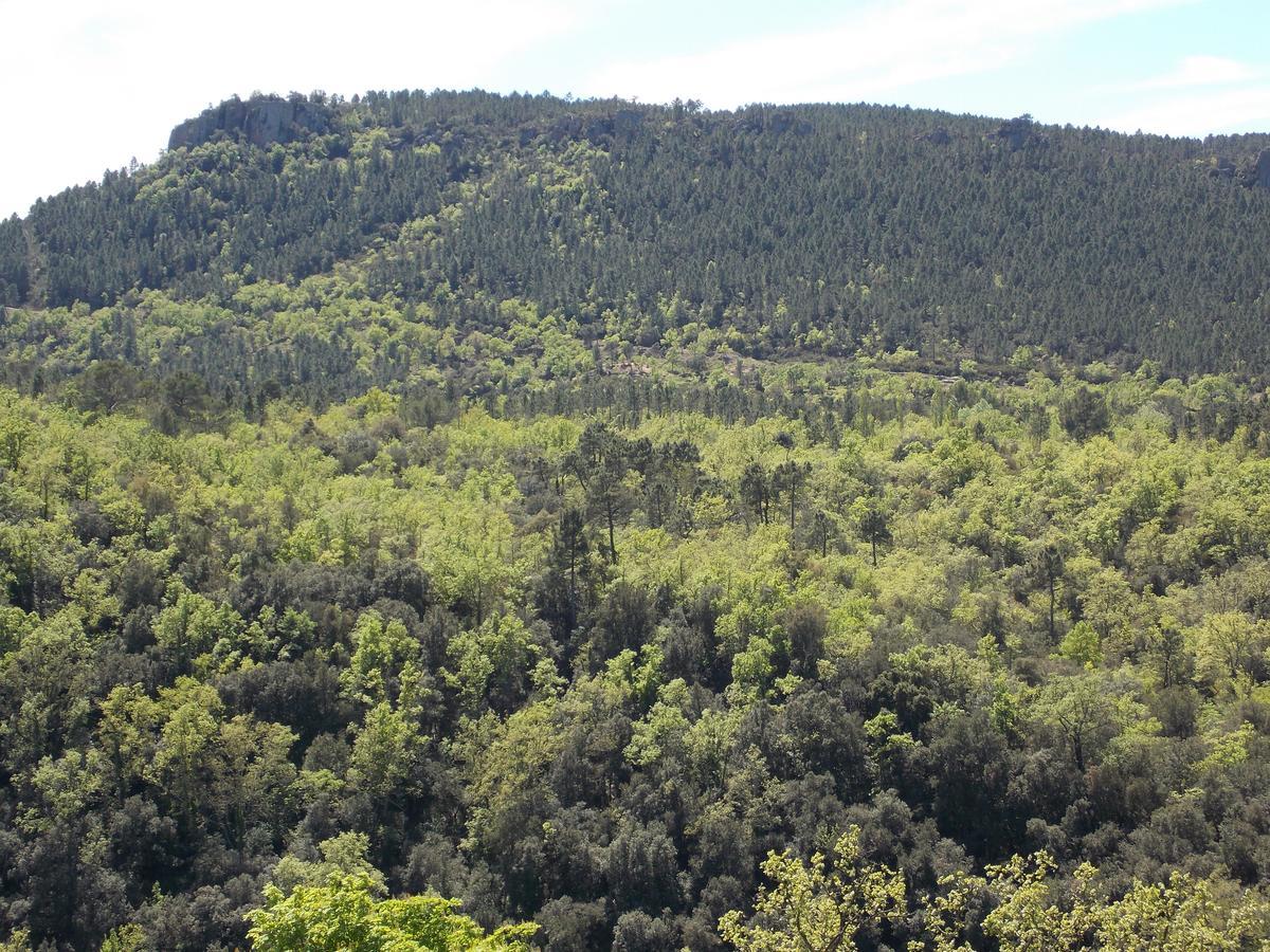 מלון Bagnols-en-Forêt Au Relais Provencal מראה חיצוני תמונה